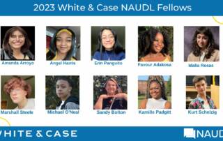 NAUDL Fellows